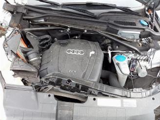 Audi Q5 Q5 (8RB), SUV, 2008 / 2017 2.0 TDI 16V Quattro picture 10