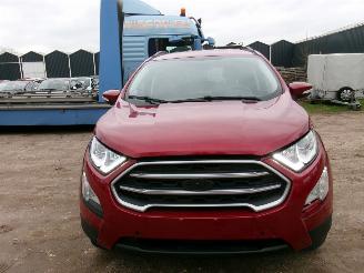 Ford EcoSport 1.0  Cool & Connect picture 9