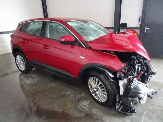 danneggiata veicoli commerciali Opel Grandland 1.2 THP AUTOMAAT 2020/6