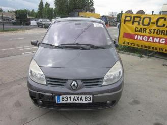 rozbiórka samochody osobowe Renault Scenic  2004/11