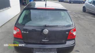 Volkswagen Polo Polo IV (9N1/2/3), Hatchback, 2001 / 2012 1.4 16V picture 8