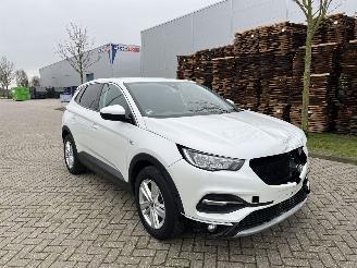 occasion commercial vehicles Opel Grandland X 1.2 Turbo 96Kw Euro6 2020/2